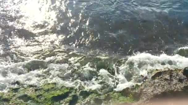 Ondas Marinhas Espumosas Brancas Movem Para Rocha Com Marisco Verde — Vídeo de Stock