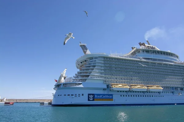 Large cruise ship Oasis of the Seas moored Palma harbor — Stock Photo, Image