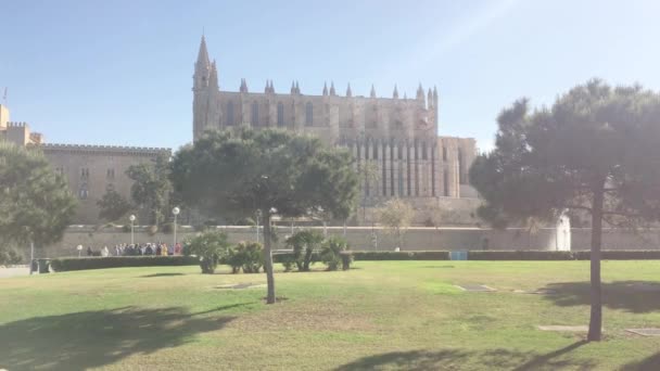 Palma Mallorca Spain May 2019 Seu Gothic Cathedral Park Area — Stock Video