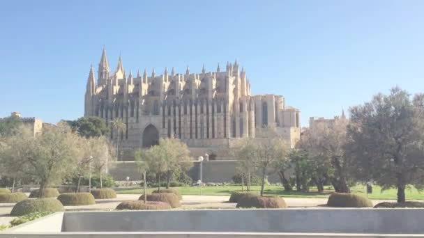 Palma Mallorca Espanha Maio 2019 Catedral Gótica Seu Área Parque — Vídeo de Stock