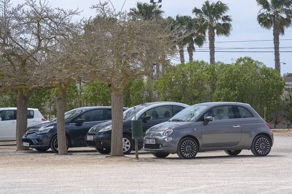 Cars parked row trees outside Botanicactus park — Stock Photo, Image