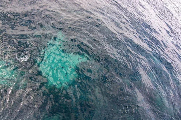 Καθαρό Μεσογειακό γαλάζιο νερό με ψάρια κάτω από την επιφάνεια — Φωτογραφία Αρχείου