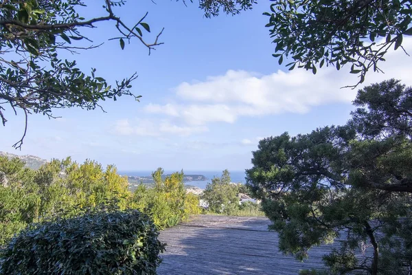 Beautiful landscape macchia vegetation archipelago Sardinia — Stock Photo, Image