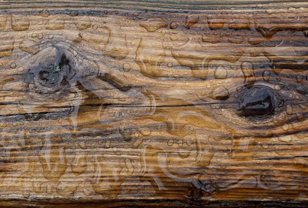 Капли Воды Деревянную Поверхность — стоковое фото