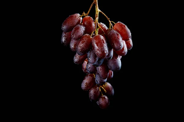 Les Raisins Rouges Juteux Sont Isolés Sur Fond Noir — Photo