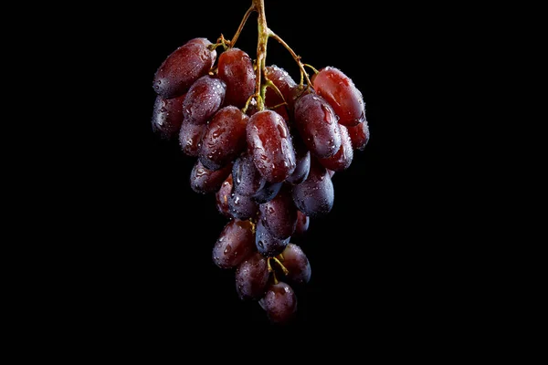 Szczotka Soczystych Winogron Jest Izolowana Czarnym Tle — Zdjęcie stockowe