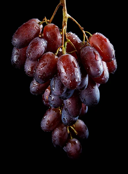 Szczotka Czerwonych Winogron Kroplach Wody Czarnym Tle — Zdjęcie stockowe