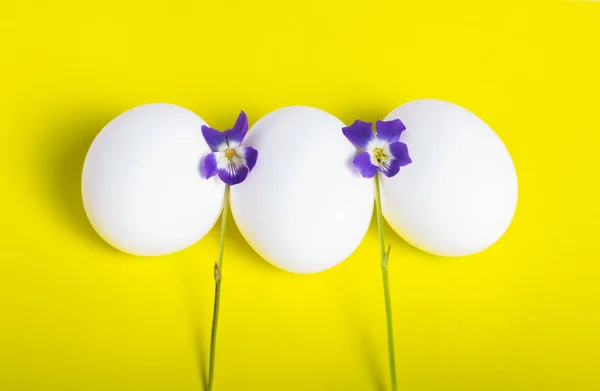 Eggs and violets on yellow.