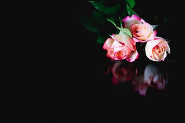 Koyu arka plan, çift, güller, buket, üç, bir, yeşil, beyaz,