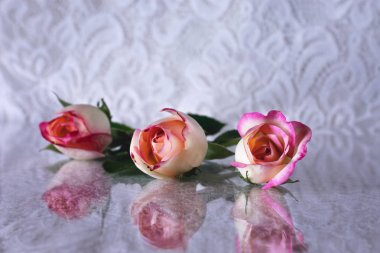 Açık dantel arka planda beyaz üç küçük gül vardır 