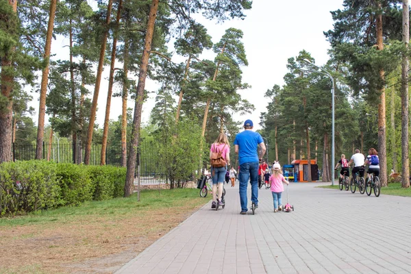 birkaç aile güneşli bir günde parkta bisiklet ve scooter binmek