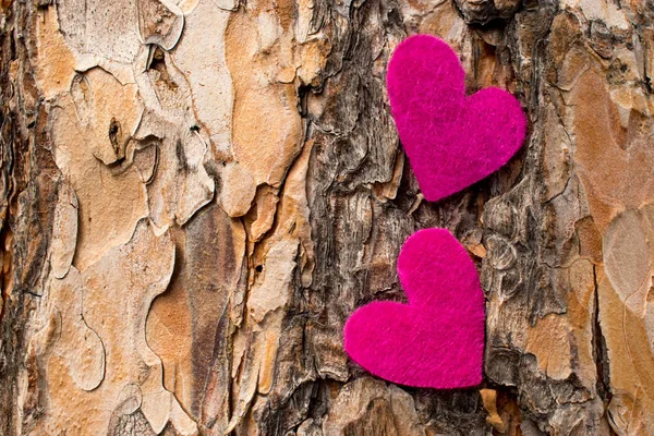 bir ağacın kabuğu üzerinde bulunan parlak keçe kalpleri