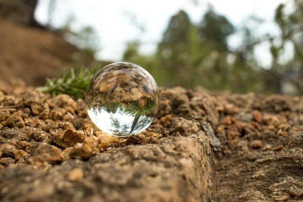 bir cam top ağaçlar doğa çim granit bej yansıması