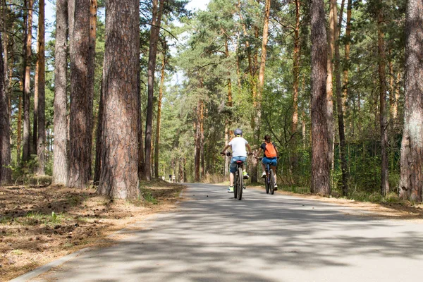 çocuklar çam ormanında bisiklete biniyor
