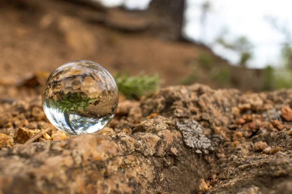 şeffaf cam top granit bej yatıyor yeşil çiçek ağaçları yansıtır