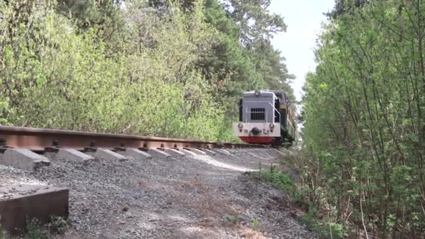 Ένα Τρένο Τρία Βαγόνια Βόλτες Ράγες Στο Πράσινο Δάσος — Αρχείο Βίντεο