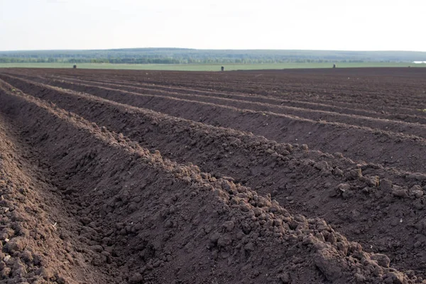 Arazi alanında, sürülmüş, dikim için hazır yatak