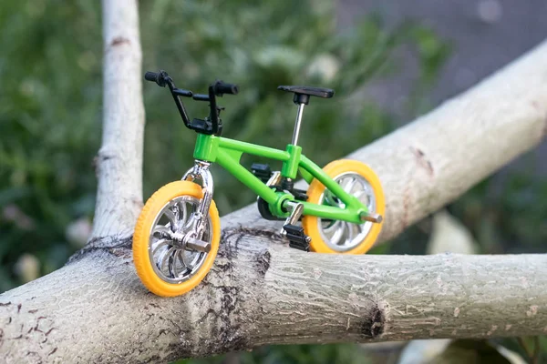 bisiklet bir günlük üzerinde, küçük bir bisiklet, bir dağ bisikleti küçük bir kopyası