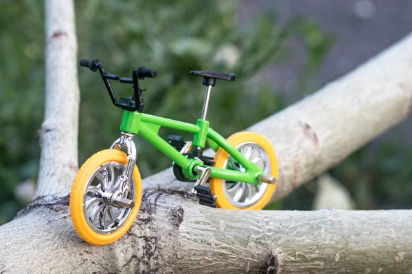 bisiklet bir günlük üzerinde, küçük bir bisiklet, bir dağ bisikleti küçük bir kopyası