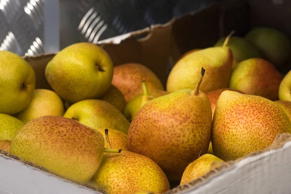 sarı-yeşil armut, bir kutu içinde taze meyve