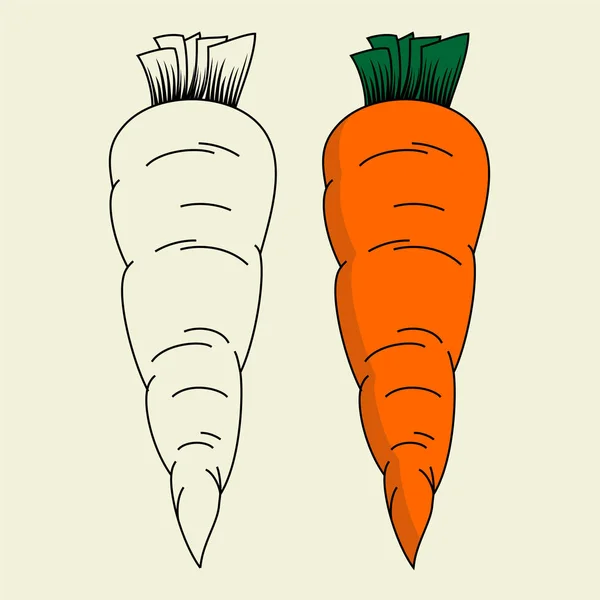 Carrot Vector Kartun Dengan Desain Garis Hitam Wortel - Stok Vektor