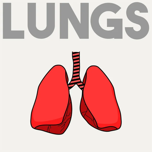 Red Lungs vetor ícone — Vetor de Stock