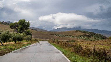 A tarmac road, running through the beautiful landscape of Andalusia, with views across the rolling hills and olive groves. It is a rare, rainy day in southern Spain.