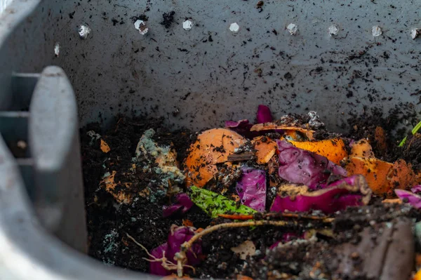 Compost vermicultura gusano con restos de alimentos en descomposición para la jardinería hobby, haciendo fertilizante natural para las plantas —  Fotos de Stock
