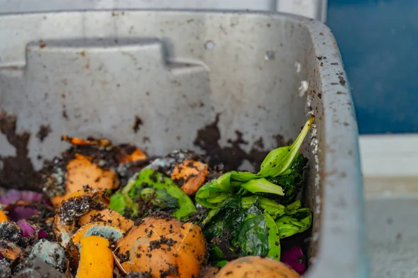 Compost vermicultura gusano con restos de alimentos en descomposición para la jardinería hobby, haciendo fertilizante natural para las plantas —  Fotos de Stock