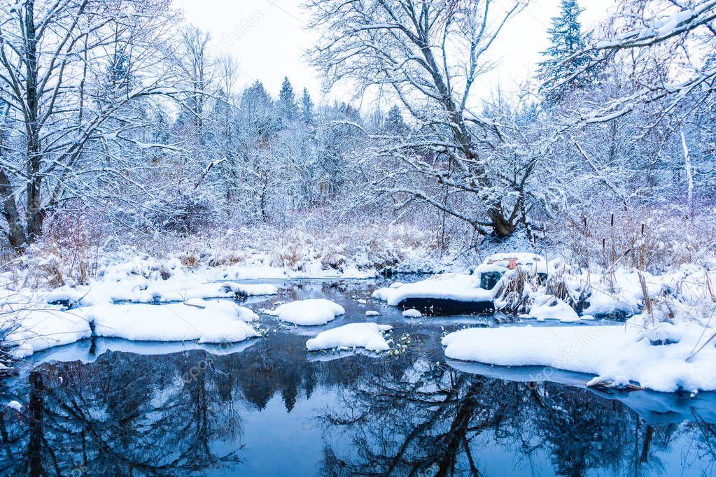 Snowfall on a creek lake with stones after a snowstorm in Vancouver (Delta) BC, at Burns Bog. Snowy forest scenes.