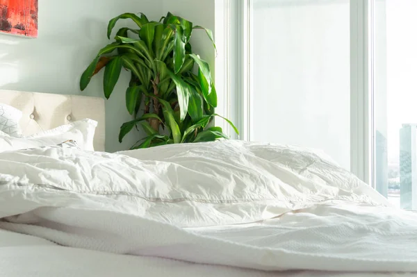 Slept-in, real bed with white duvet in a serene tranquil scene, depicting comfortable home, hotel suite, staying in bed and relaxation. — Stock Photo, Image