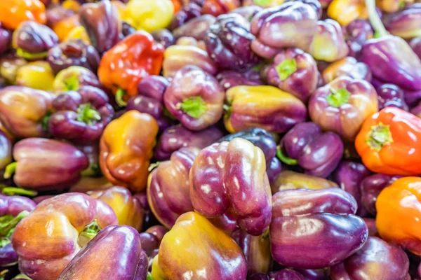 Разноцветный фиолетовый сладкий перец колокольчика, с пигментами красного и желтого цвета. Уникальное разнообразие колбасных перцев, продаваемых на фермерском рынке . — стоковое фото