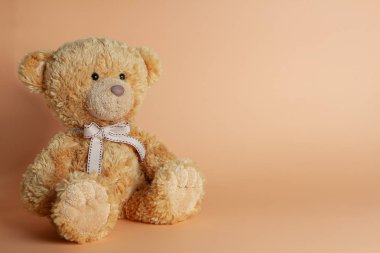Renkli arka planda yumuşak sıcak sevimli kahverengi oyuncak ayı. Izole. Yumuşak mercan, sarı, kahverengi arka plan. Metin için boşluk Kopyala.