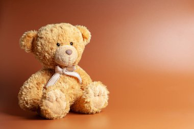Renkli arka planda yumuşak sıcak sevimli kahverengi oyuncak ayı. Izole. Yumuşak kahverengi kahve arka plan. Metin için boşluk Kopyala.