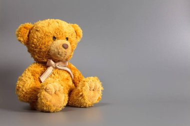 Renkli arka planda yumuşak sıcak sevimli kahverengi oyuncak ayı. Izole. Yumuşak gri gri arka plan. Metin için boşluk Kopyala.