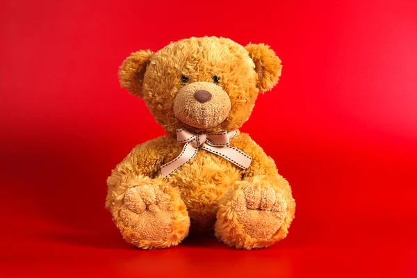 Soft warm cute brown teddy bear on color background. Isolated. Soft red background. Copy space for text. — Stock Photo, Image