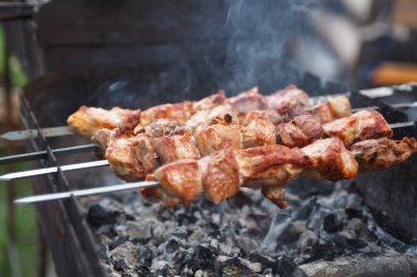 Açık ızgara, gıda Festivali, açık mutfak, şiş üzerinde kavurma, Yaz piknik, yiyecek-mahkeme seçici odak taze sıcak lezzetli BBQ Kebab ızgara yakın