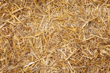 Close up dry straw texture background. Copy space place for text clipart