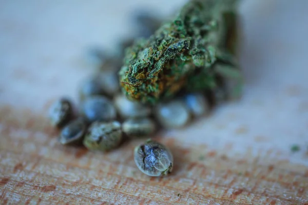 Makro zdjęcie medyczne Cannabis i nasiona marihuany na świeżym kawałku drewna. — Zdjęcie stockowe