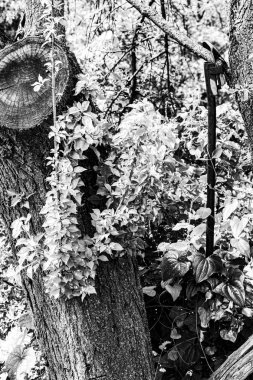 Ölüm aracı geride hayat tarafından ekşimiş bıraktı