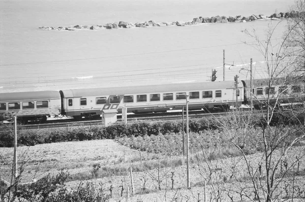 Train near the beach — ストック写真