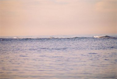 Üç numaralı serap suyu çölü.