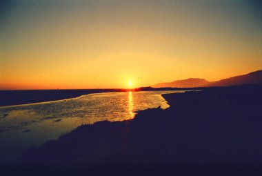 Dokuz numaralı siyah beyaz uçurtma.