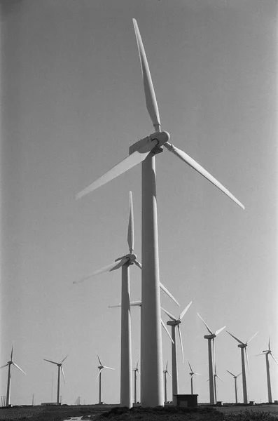 wind turbines for a more sustainable future bnw number five