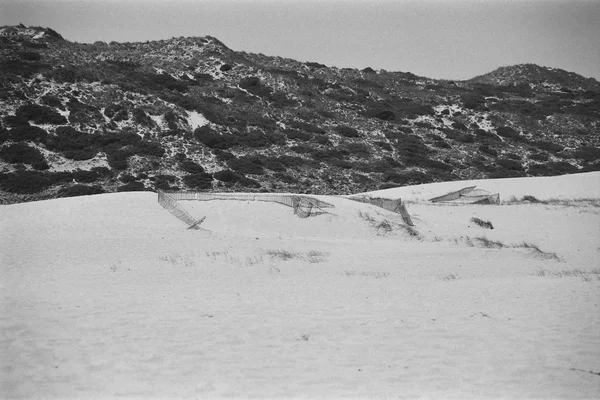 Plage avec dunes numéro trois — Photo