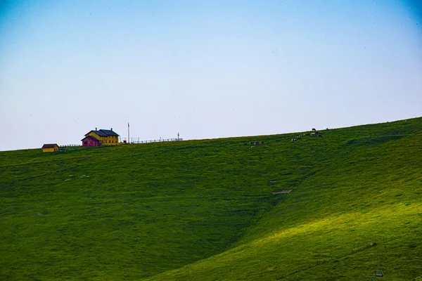 Asiago alp çayırı