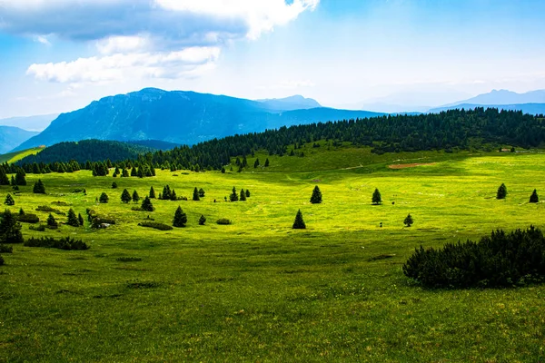 Grünes Tal und blaue Berge — Stockfoto