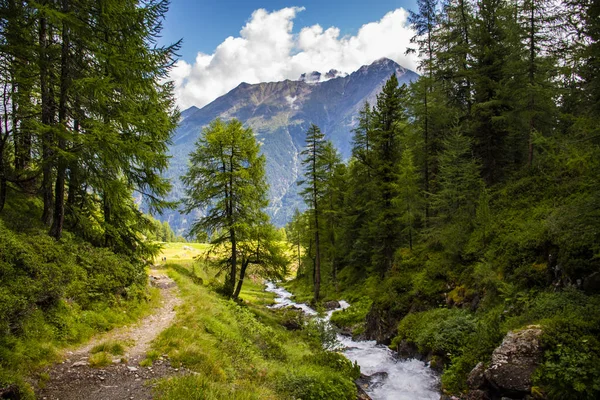 Arroyos en los Alpes del Tirol del Sur ocho — Foto de Stock