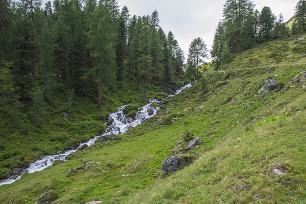 Arroyos en los Alpes del Tirol del Sur — Foto de Stock