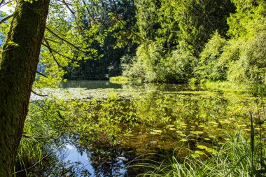 Piburgersee dokuz numara